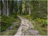 Planina Zajavornik - Viševnik